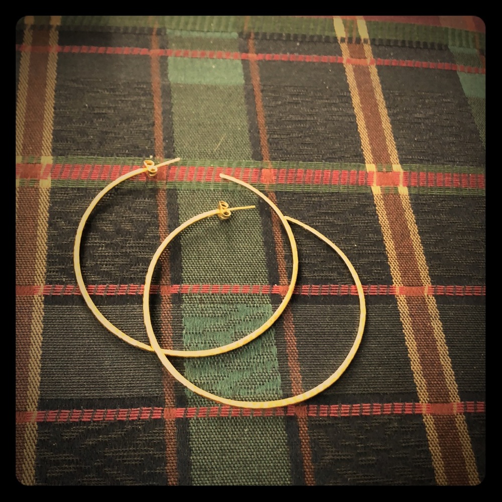 Beautiful Jenny Bird 3in. Hoop earrings!